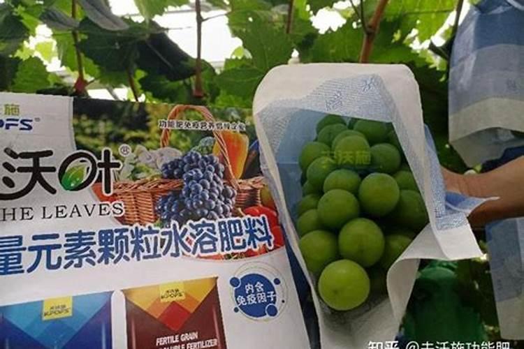 葡萄水溶肥,灌根好吗？