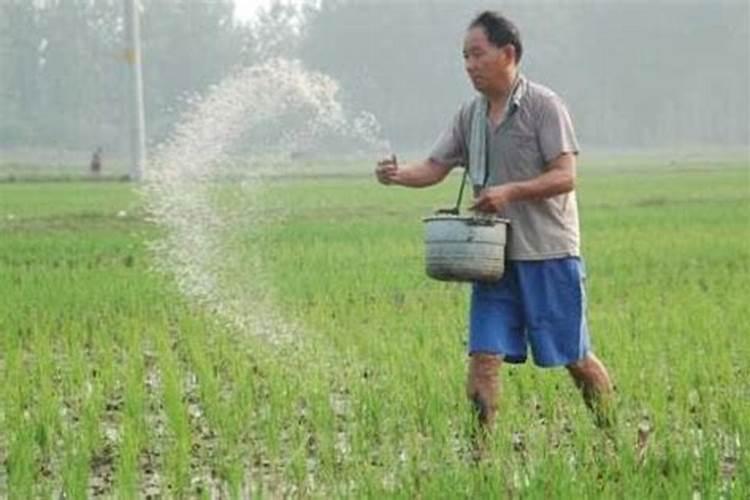 棉花花铃期施肥管理 使用什么肥料好