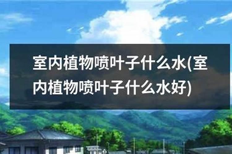 花卉用什么肥叶子油亮