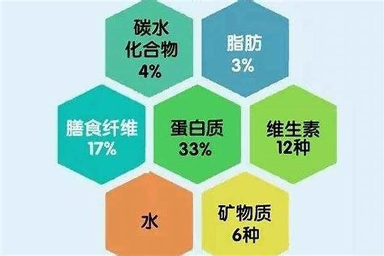什么是矿物质和微量元素？