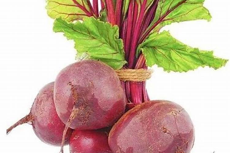 氯化钾对甜菜的影响有哪些