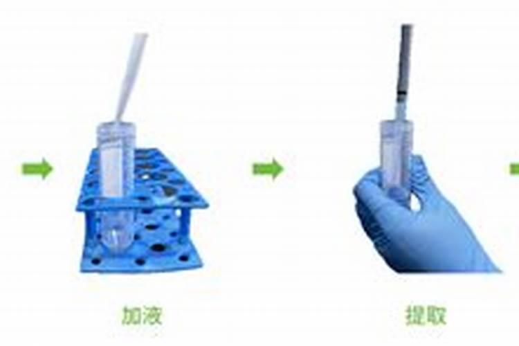 香瓜种下去多久施肥