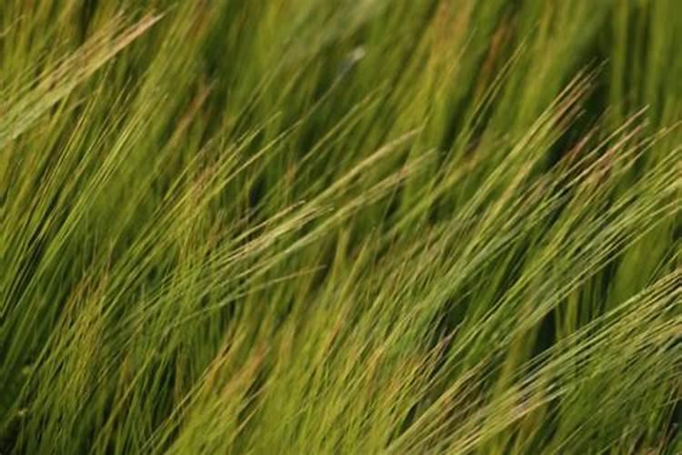 小朋友感谢什么,是什么的什么,让大家健康成长怎么填？