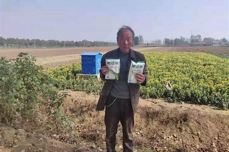 叶面肥叫肥料还是叫调节剂