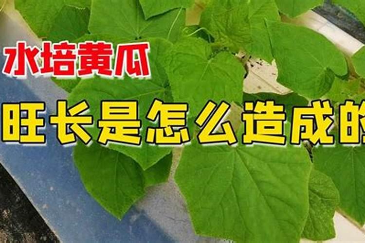 氮肥常见施用方法