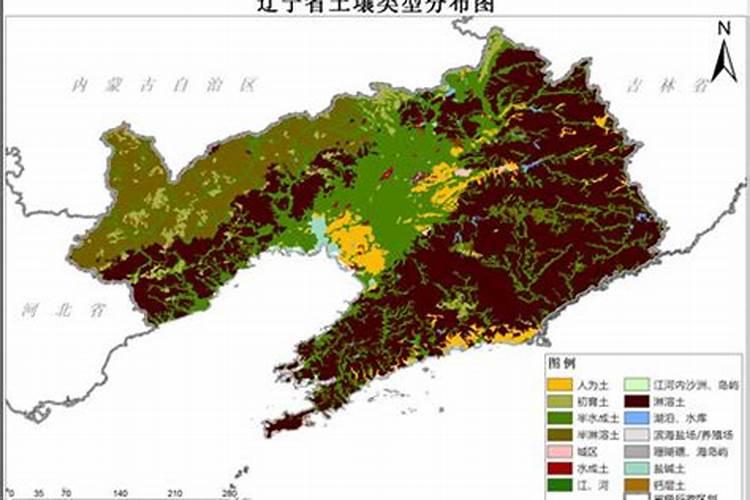 硅肥一亩地用多少 硅肥的十大作用