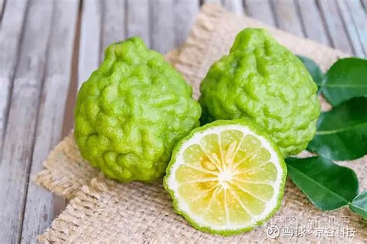 佛手柑的养殖方法和注意事项