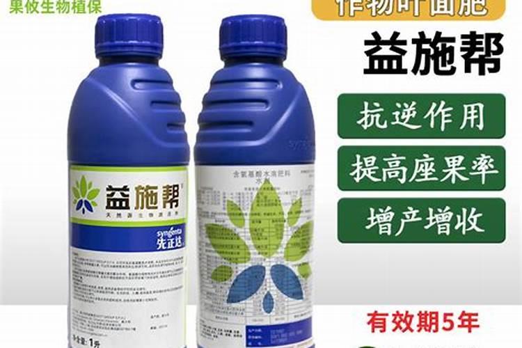 生根剂水溶肥叶面喷施效果会好吗