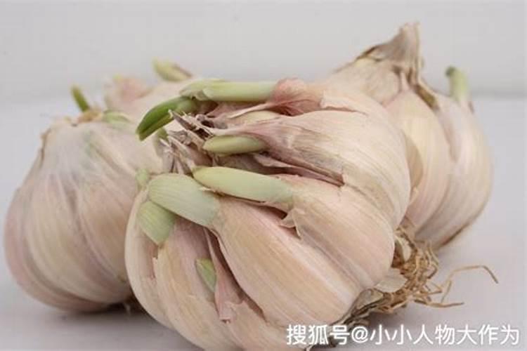 什么时间喷大蒜叶面肥