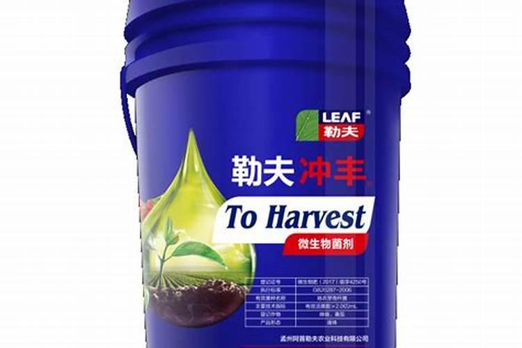 槟榔用什么水肥比较好