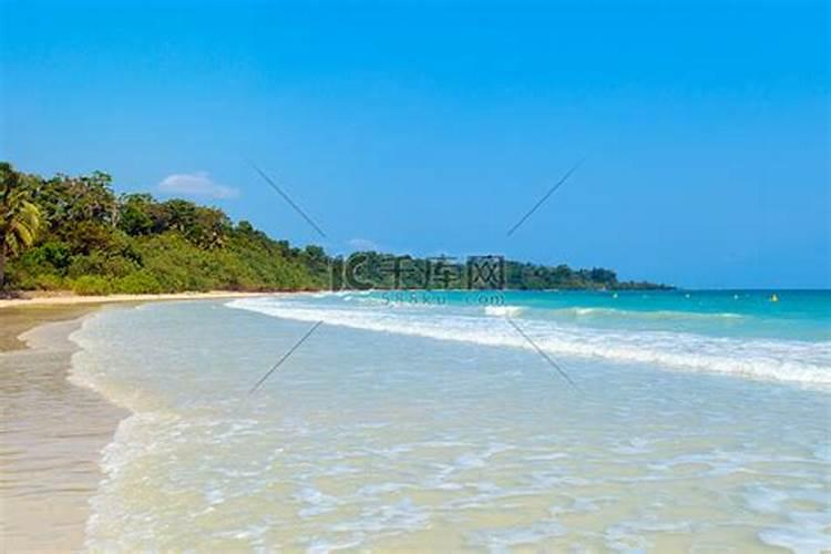 槟榔采收后用什么肥料