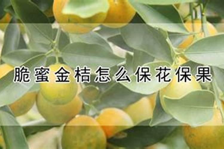 桔子落果是什么原因造成的