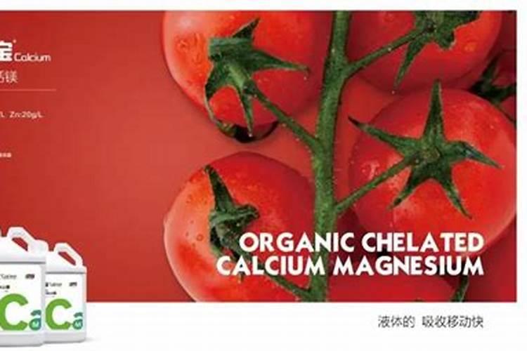 螯合肥是什么肥