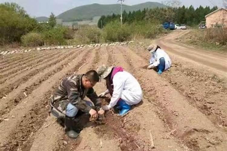 养花浇水施肥顺口溜怎么写,每月开花植物的顺口溜