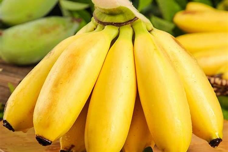 香蕉需要施用的肥料有哪些？