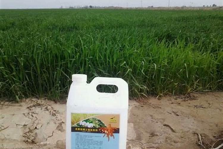 水稻苗期用什么肥