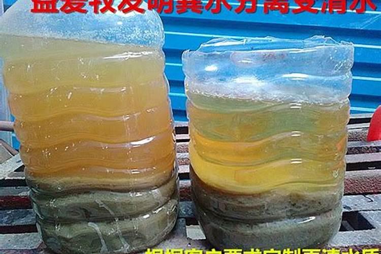 在家如何制作有机肥料