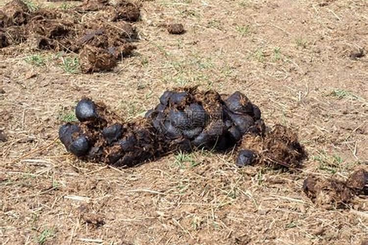 水肥发酵方法,水肥是酸性还是碱性