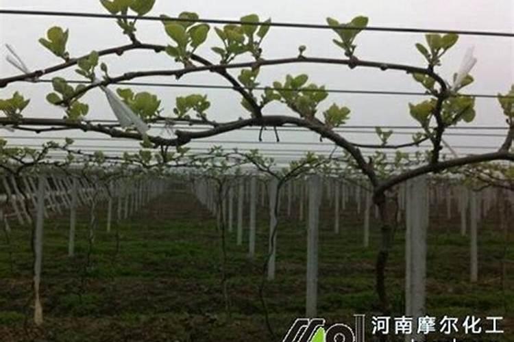 沈阳浑南军市蔬菜批发市场在哪4地方？