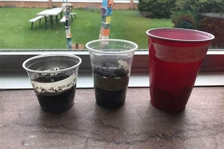 醋做叶面肥的比例和效果如何？