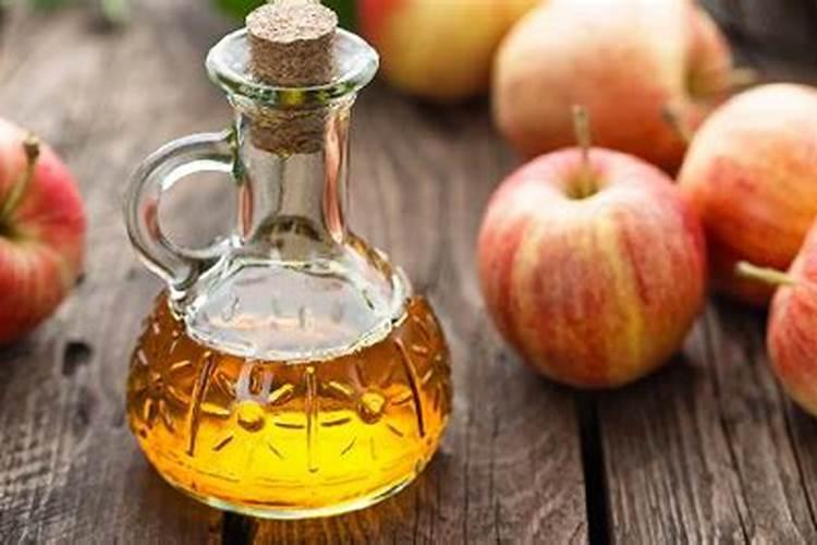 怎么用醋种黄瓜