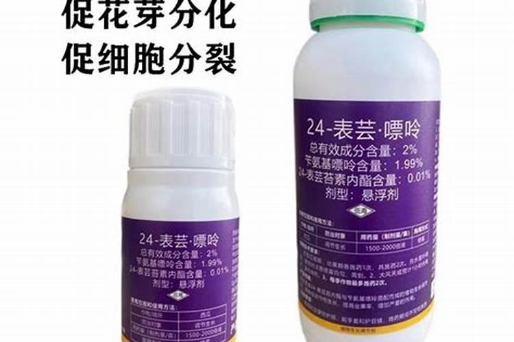 柑橘促花喷什么药好