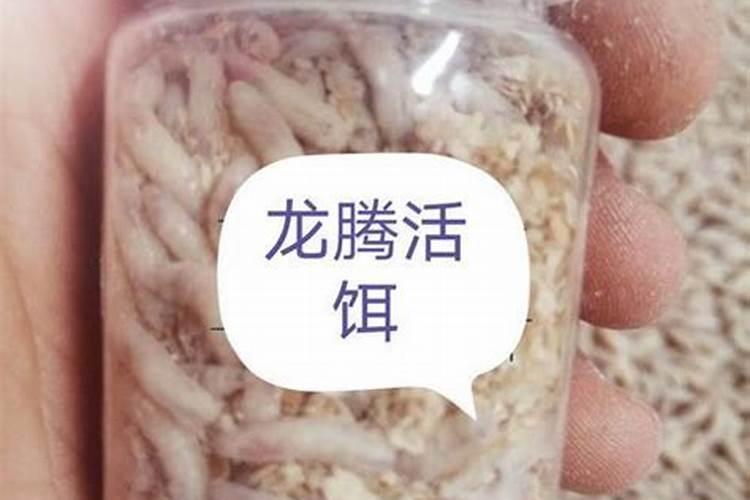 请问什麼态的氮肥利於植物？铵跟氨跟胺,有甚麼差别
