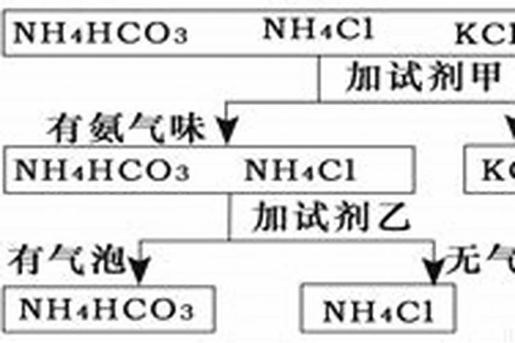 氮肥的品种有哪些？