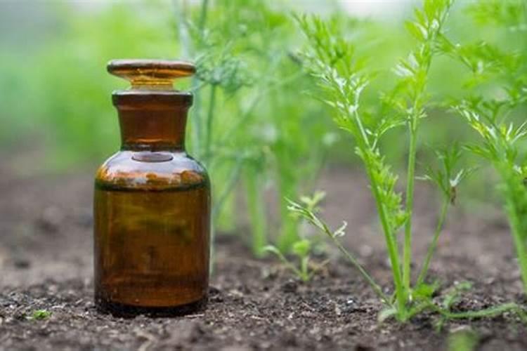 打药和施肥能同时进行吗