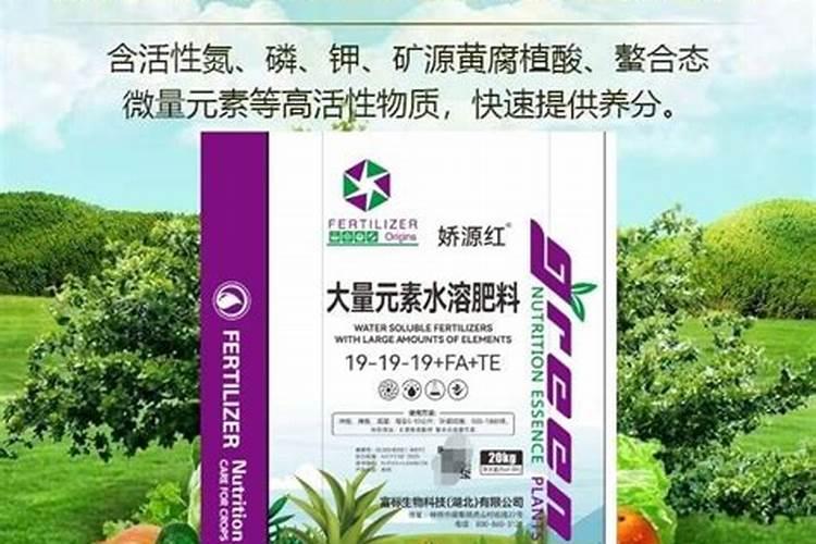 海藻鱼蛋白水溶肥后期能用在大姜上面吗