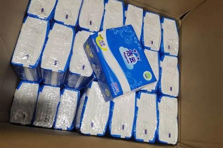 芒果种子多久浇一次水