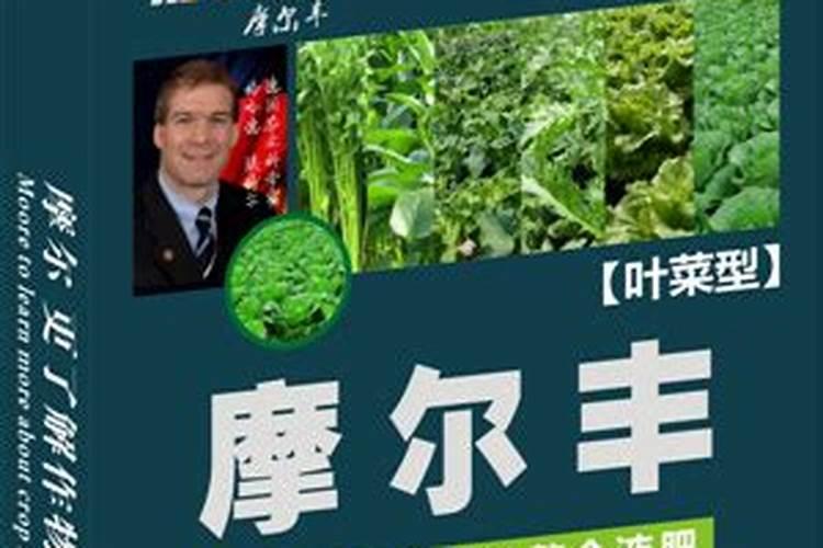 红菜苔病虫害该怎样防治呢？