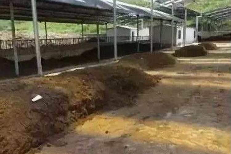 黄豆做肥料最快的方法