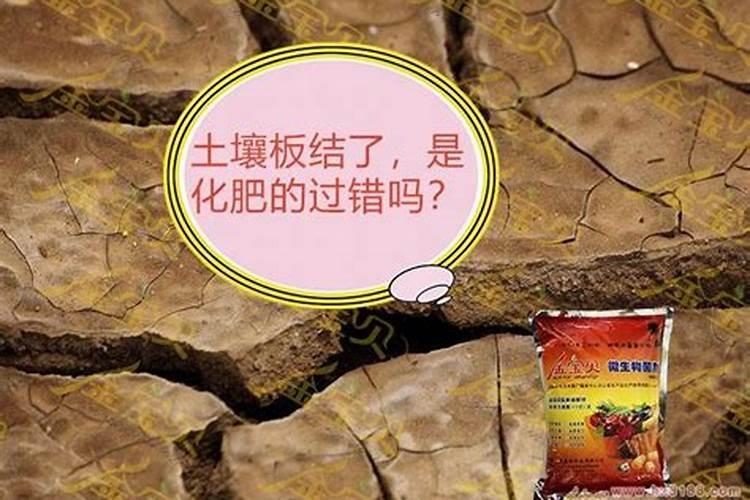 梨树春季施肥用什么肥料