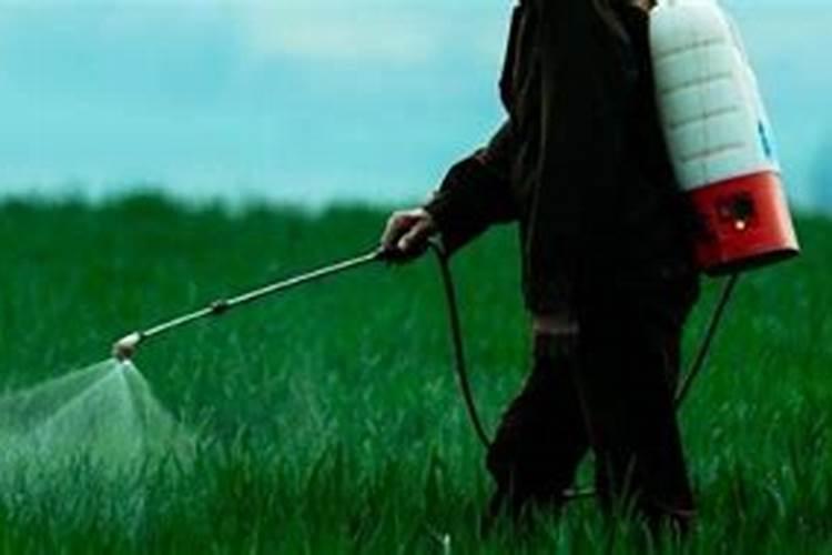 打完除草剂多久可以打叶面肥