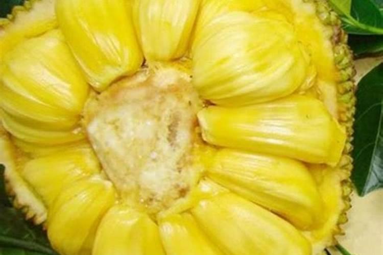 豆角小苗发黄打什么叶面肥？