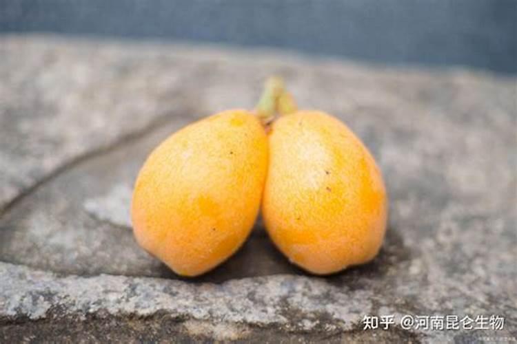 苄氨赤霉酸最佳使用方法 附使用注意事项