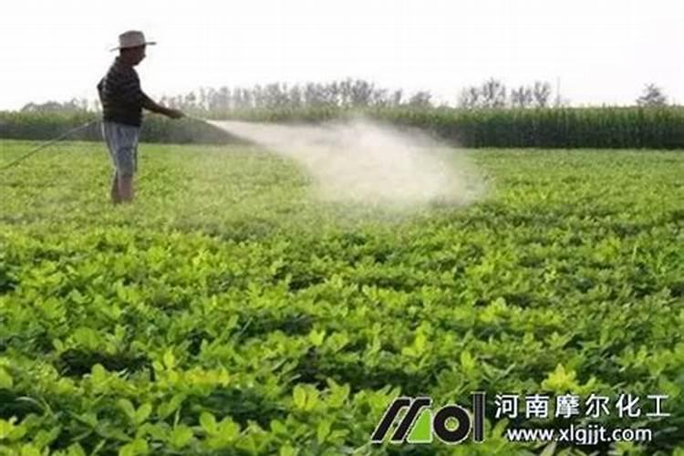 葡萄醋能作果树肥料吗？