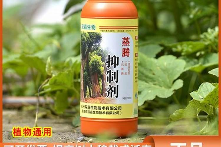 复硝酚钠的作用和用法是什么？