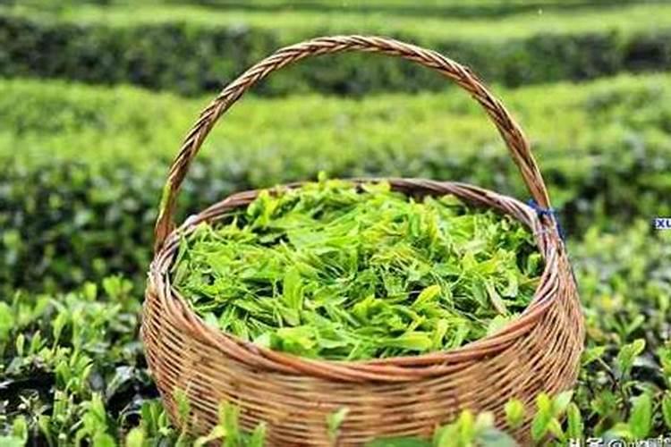 翔龙复合肥最新价格表？