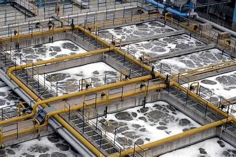 青海盐湖集团是做什么的