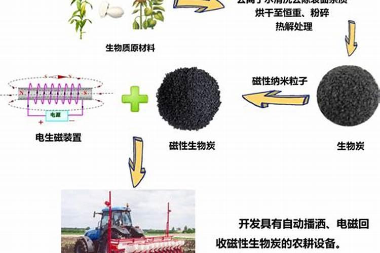 盆栽三角梅怎么施肥