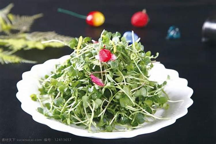 萝卜苗要如何处理才不会有苦味