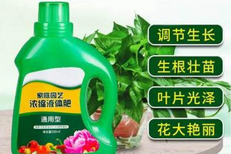 农业所说的氨肥 是哪种肥料 主要成分是什么？ 要施氨肥 买哪种肥料啊...