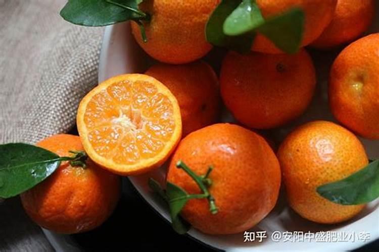 砂糖橘果实小的原因是什么 砂糖橘怎么样管理果实才均匀