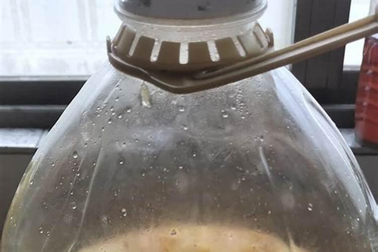 打完豆浆后的豆渣怎么做肥料？