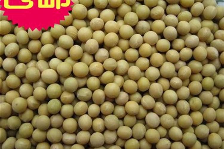 黄豆肥氮磷钾含量是多少