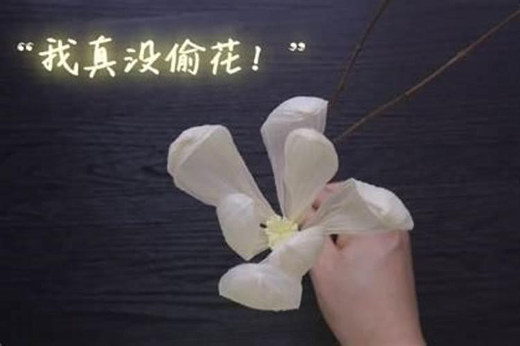 只有自己种菜,才有吃不完的菜