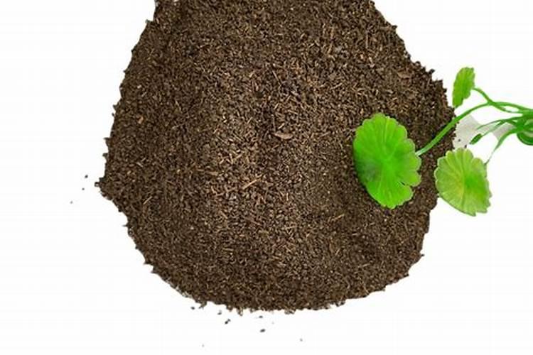 河北绿风肥业集团有限公司怎么样？