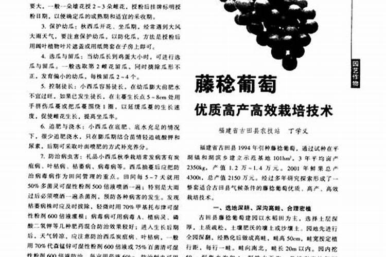 藤稔葡萄膨大剂配方